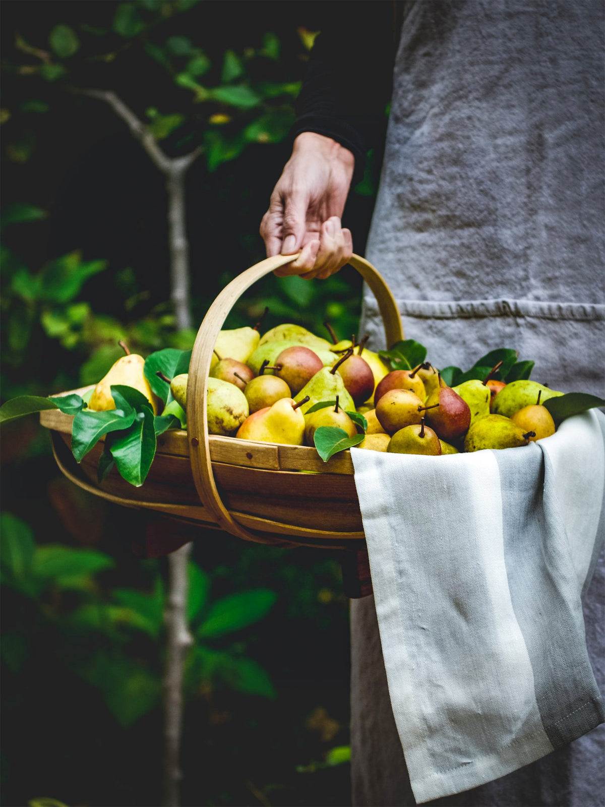 Myrtlewood Garden Trug